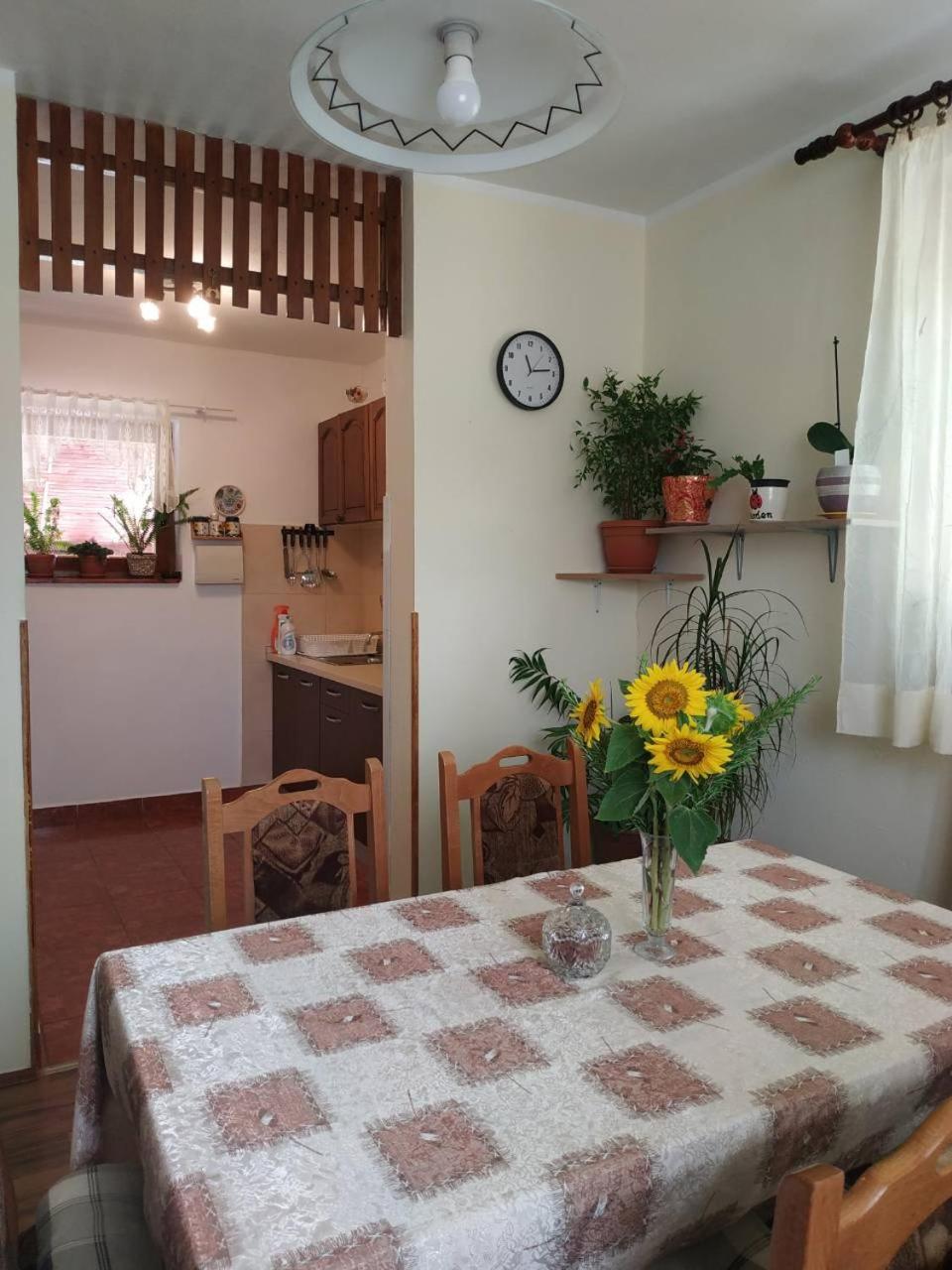 スクラーディンApartman Rosaアパートメント エクステリア 写真